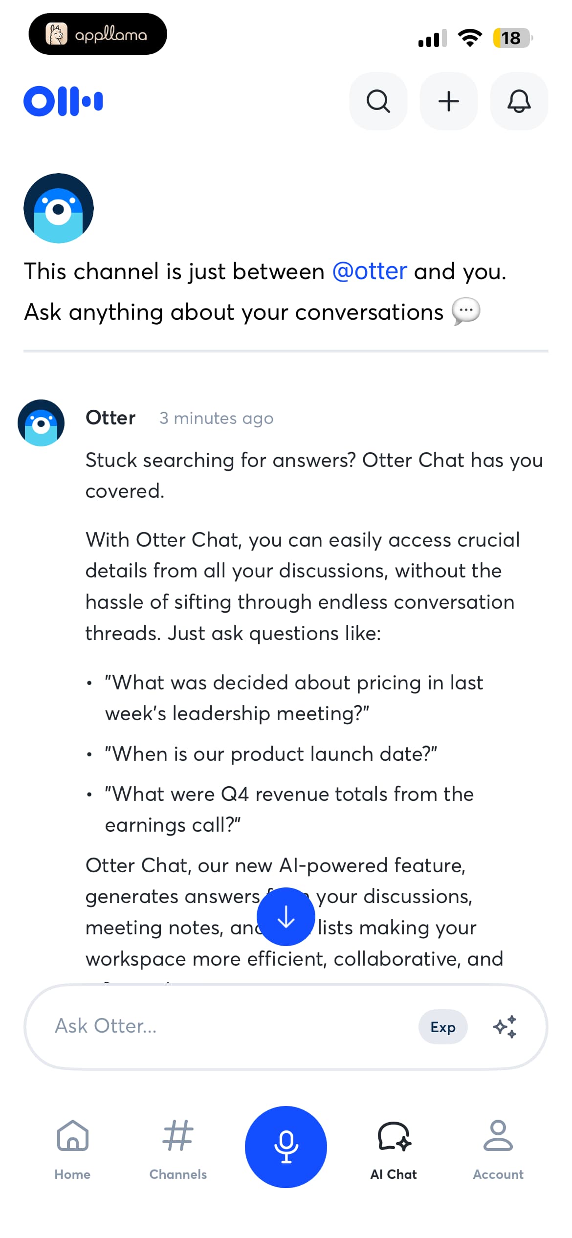 Otter Chat Thread