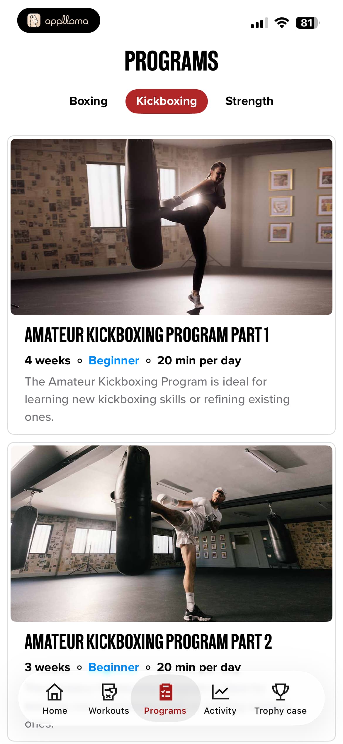 Programs Kickboxing