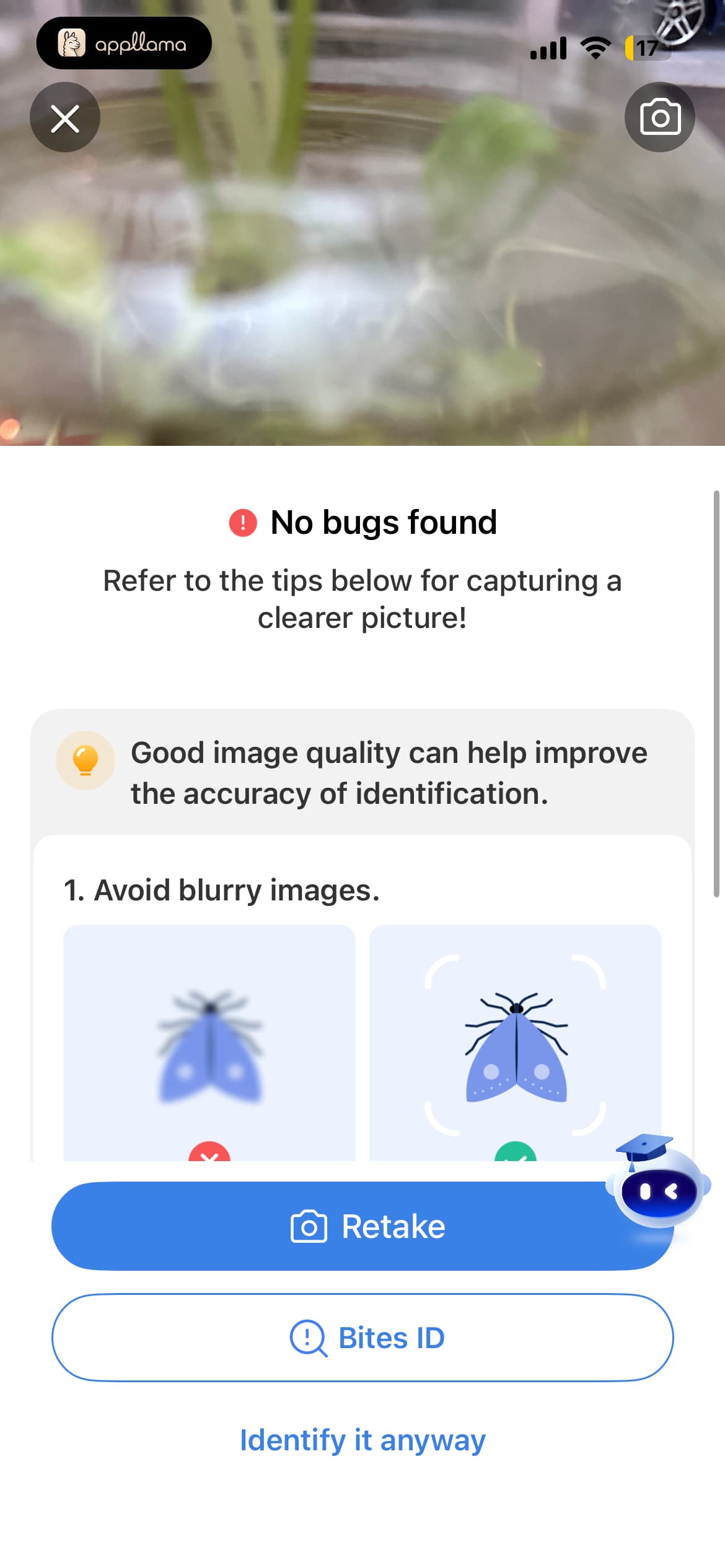 No Bug Found Result
