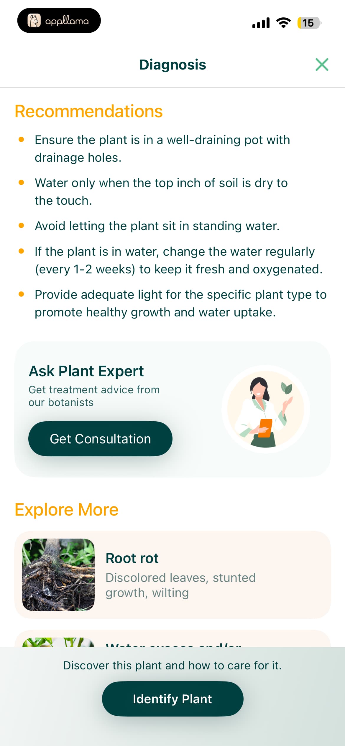 Diagnosis Report