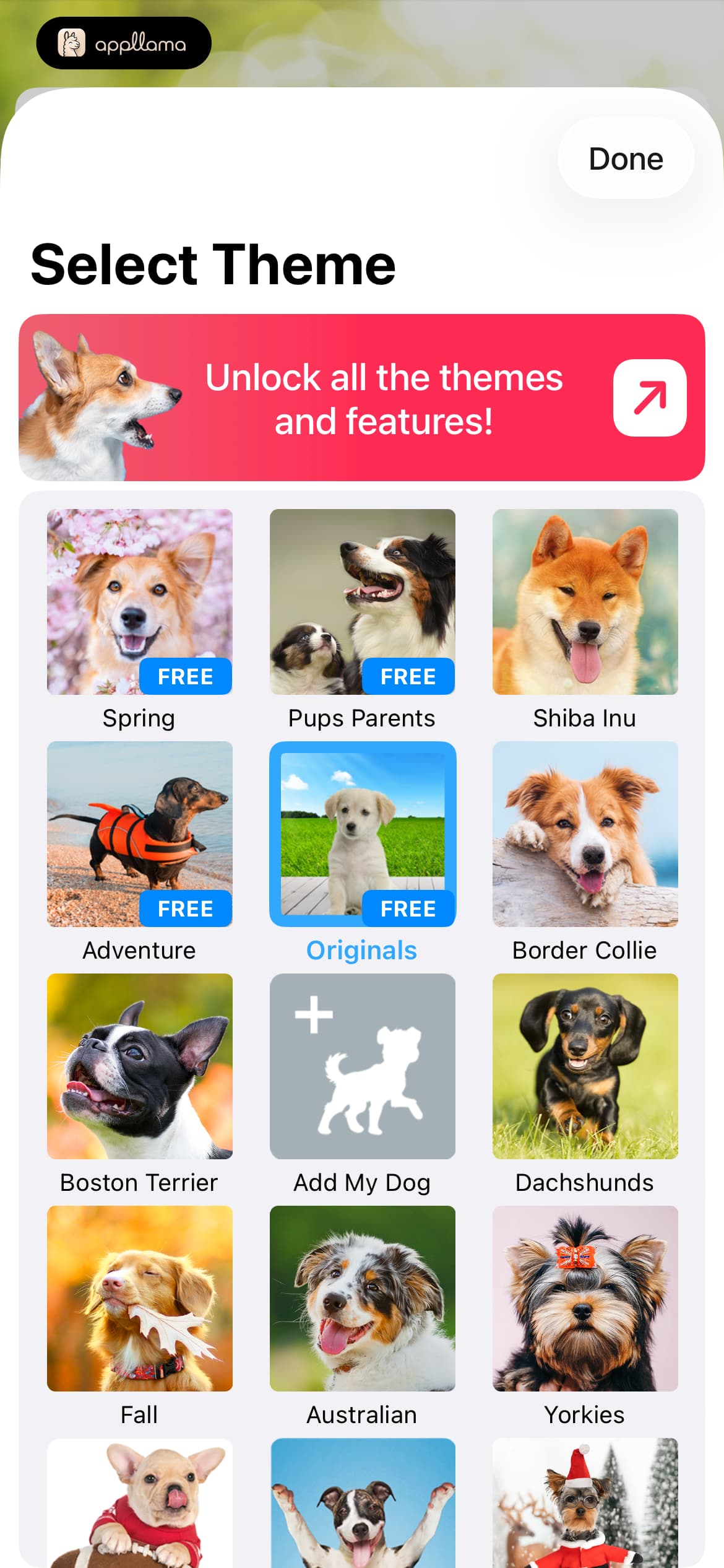 Select Theme