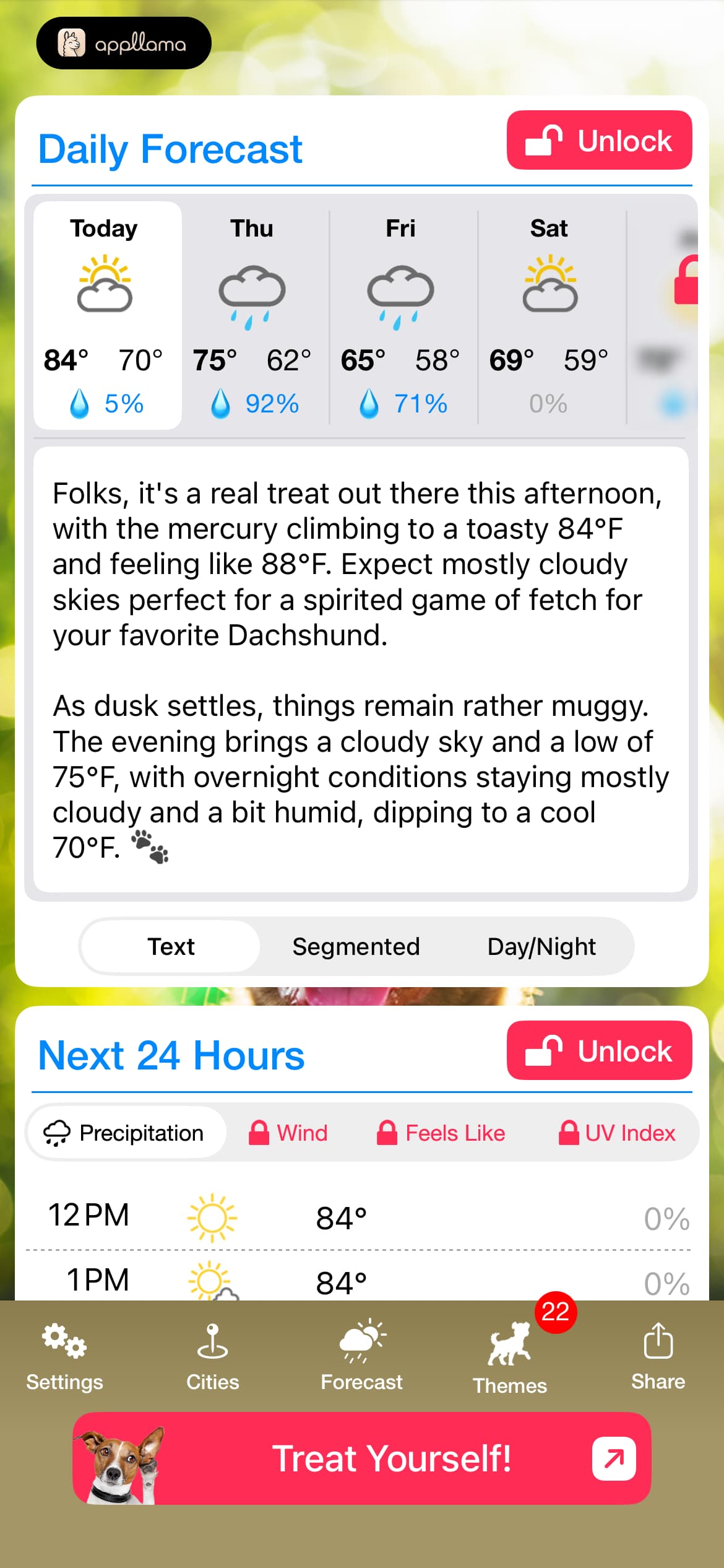 Daily Forecast