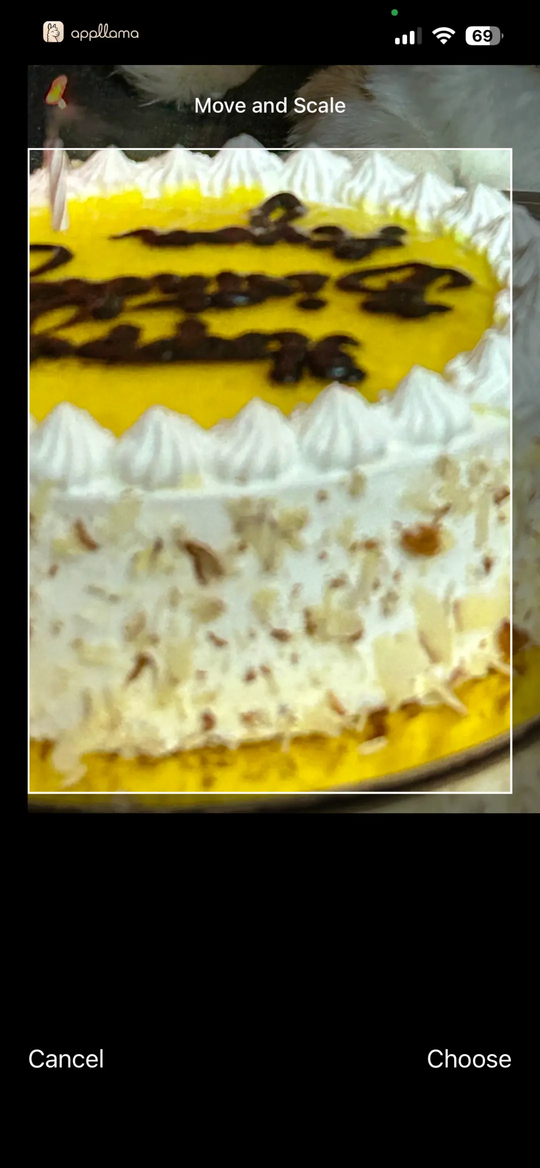 Food Photo Preview