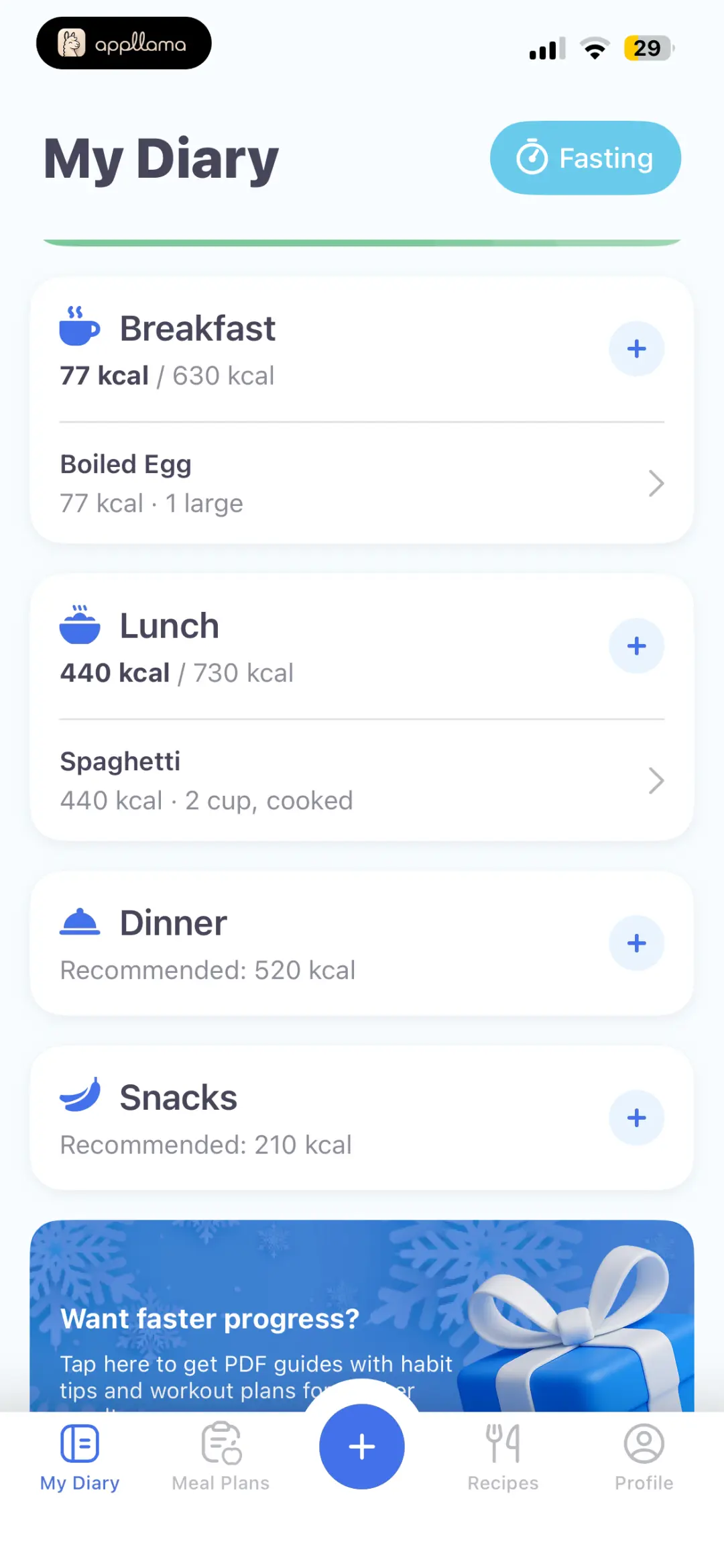 Diary Meal Summary