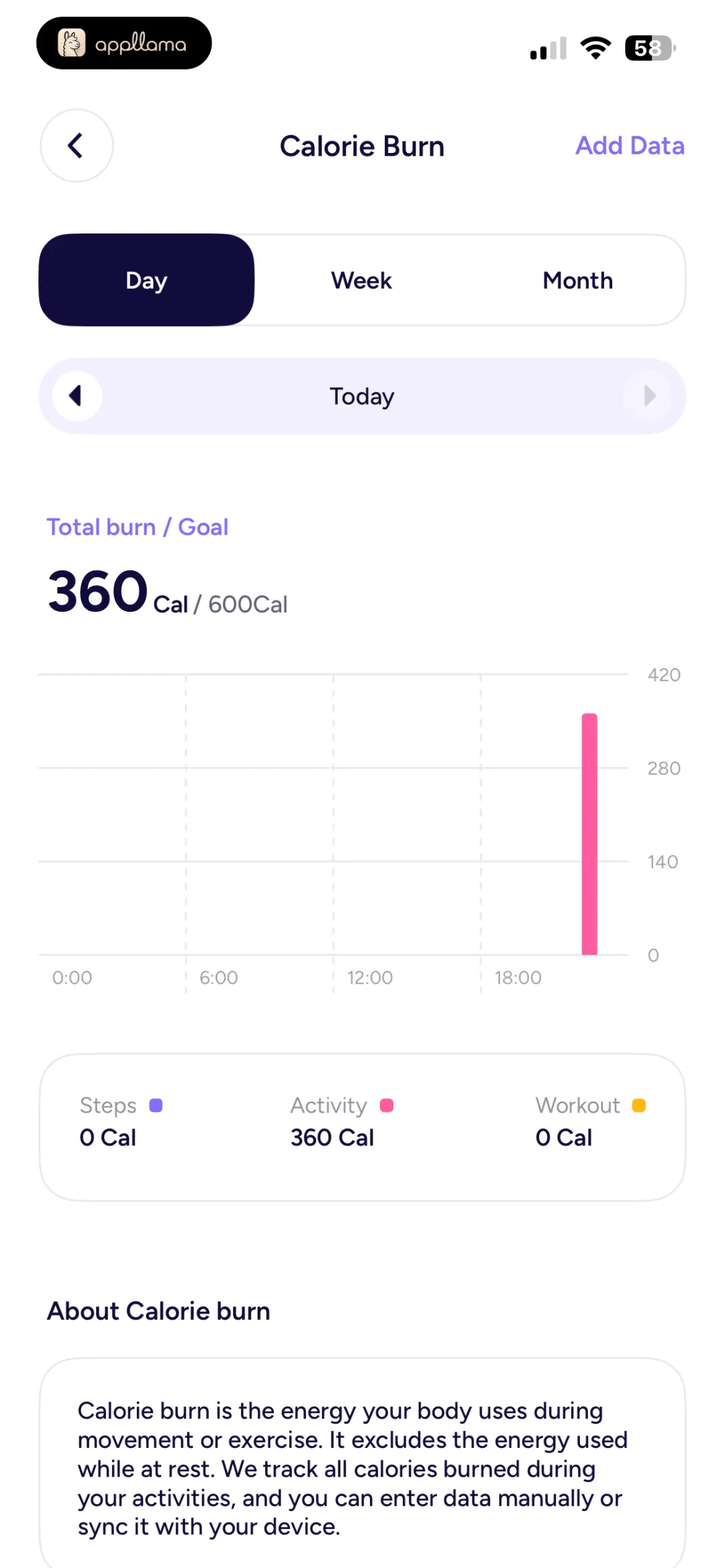 Calorie Burn Insights