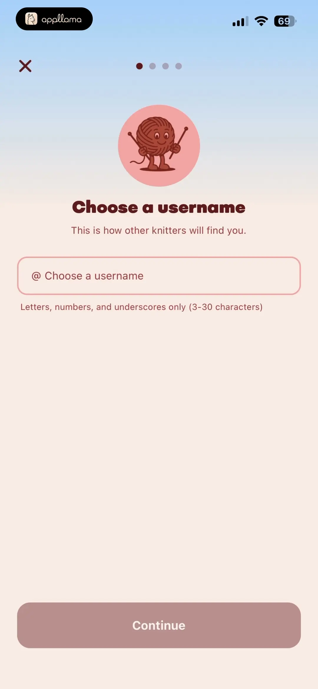 Username Entry Error
