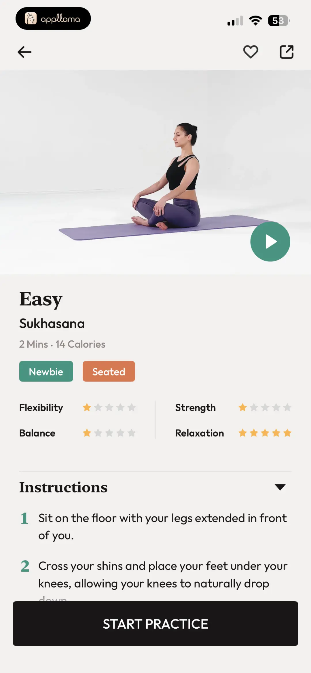 Pose Detail