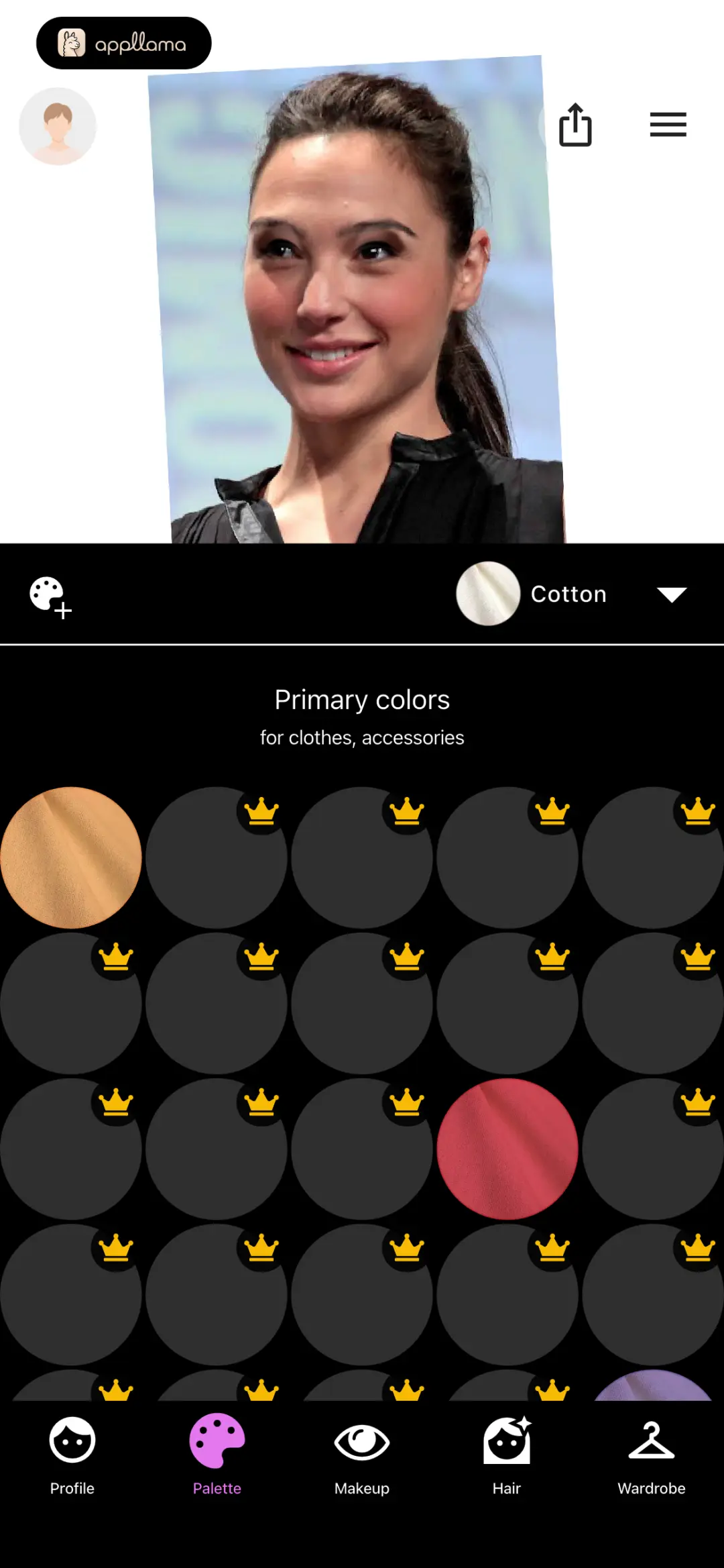 Fabric Color Palette