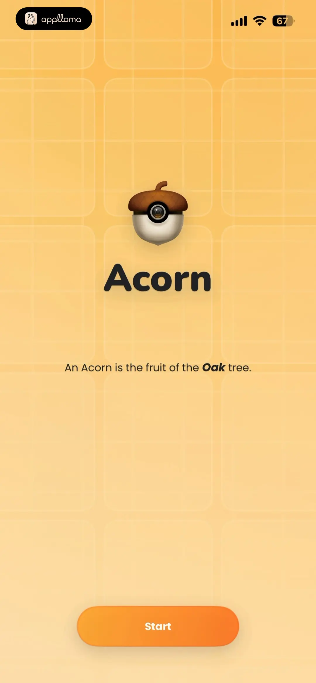 Acorn TCG Card Scanner App home screen