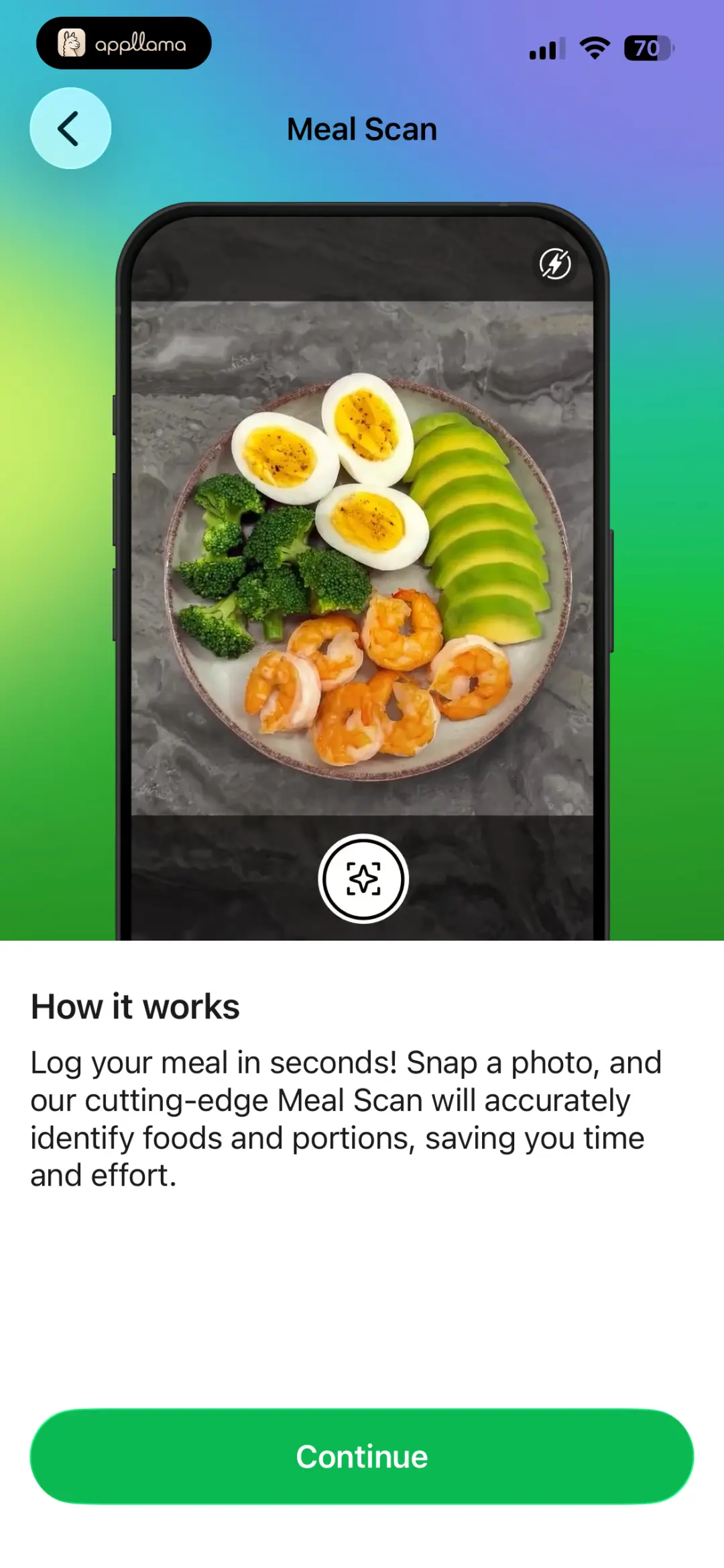 Food Scan Intro