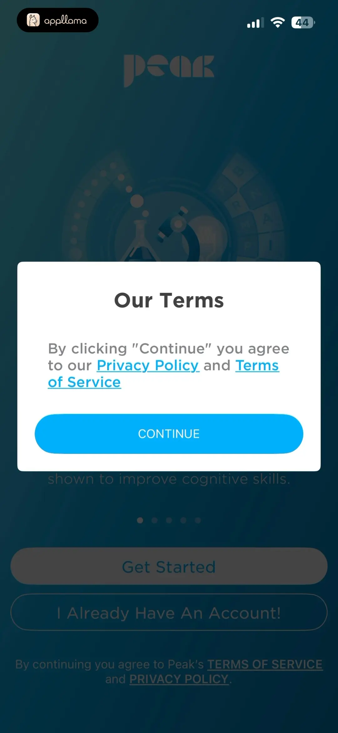 Terms Consent