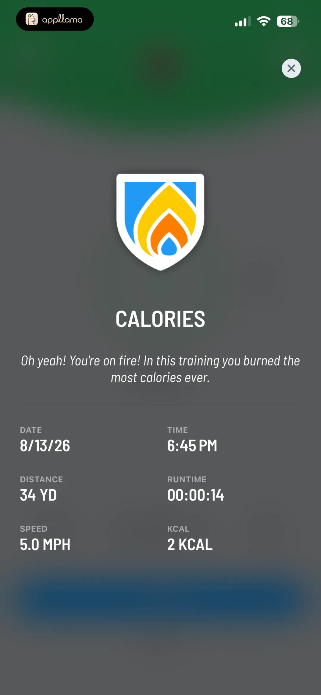 Calories Medal