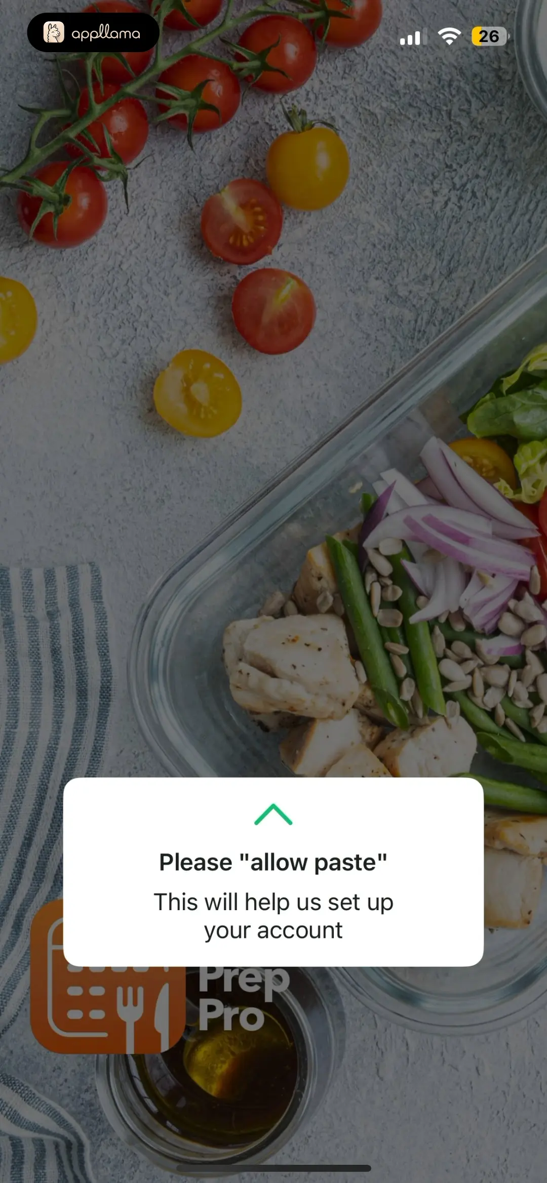 Paste Permission Prompt
