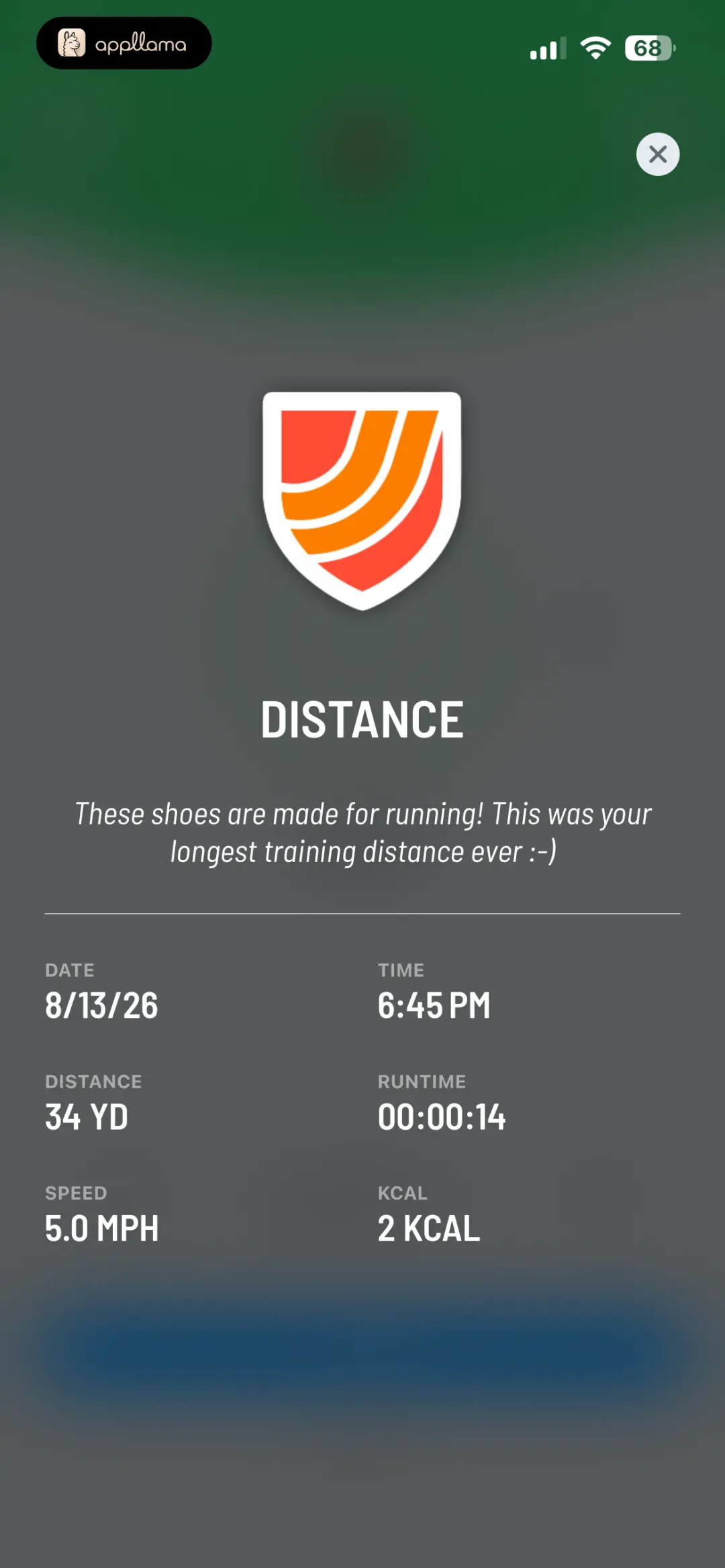Distance Medal