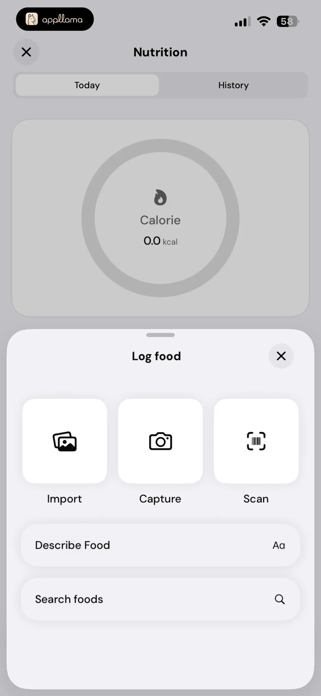 Log Food Sheet