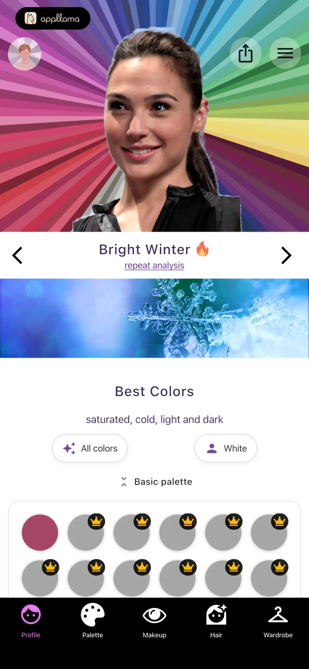 Bright Winter Palette