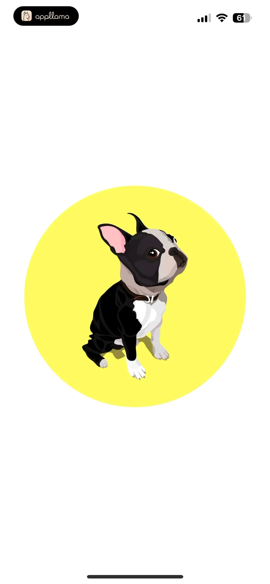 EveryDoggy - Dog Training App Brand Splash