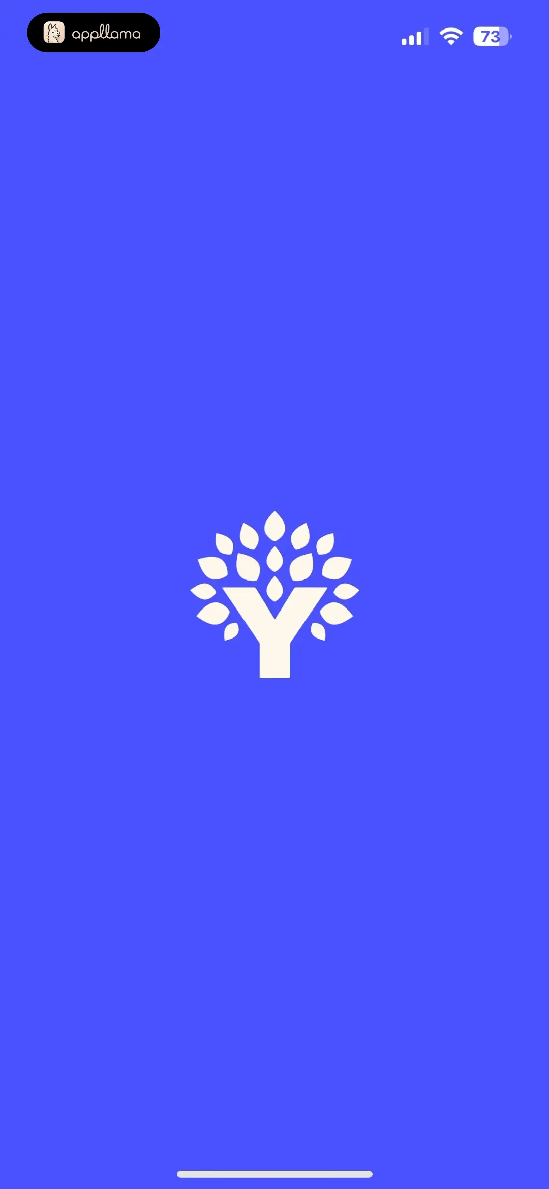Splash Screen