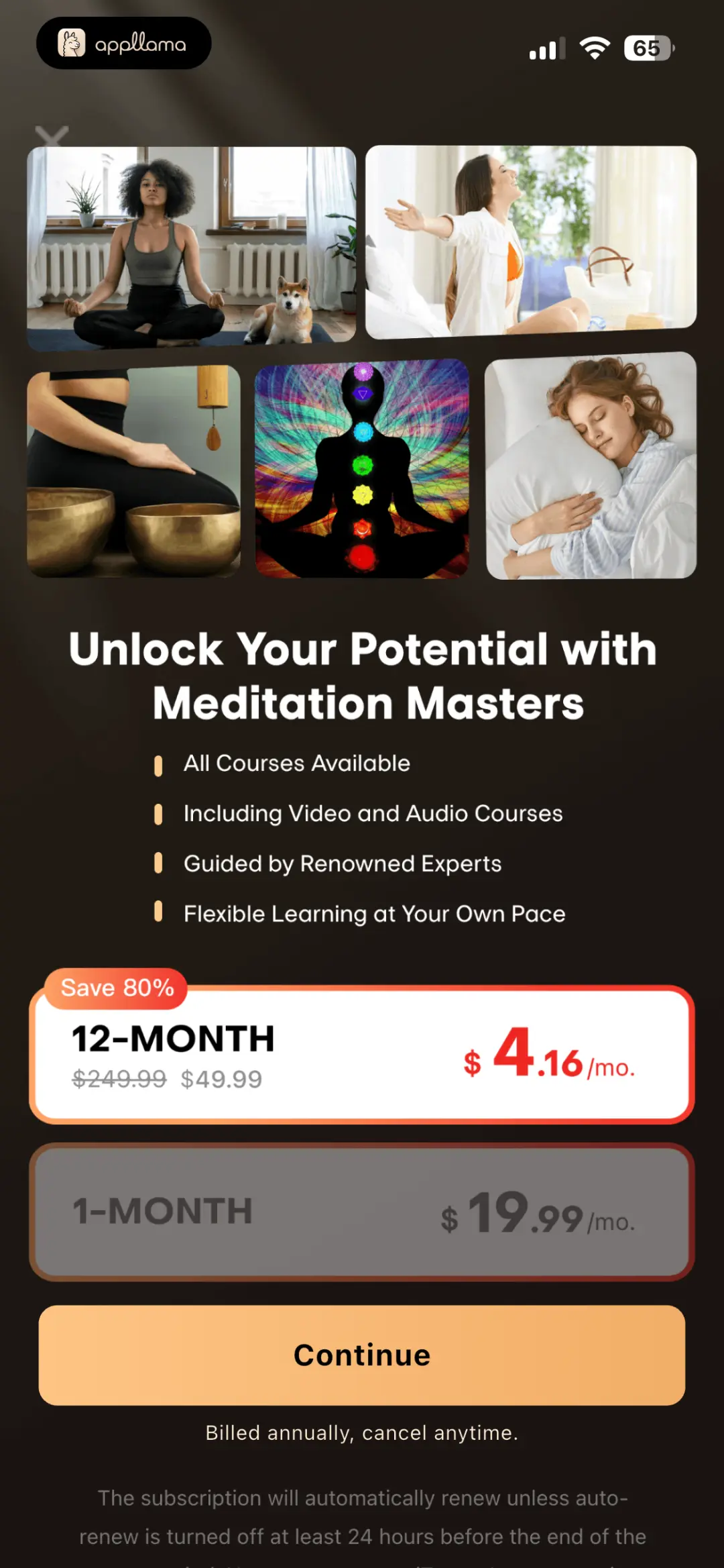 Meditation Subscription