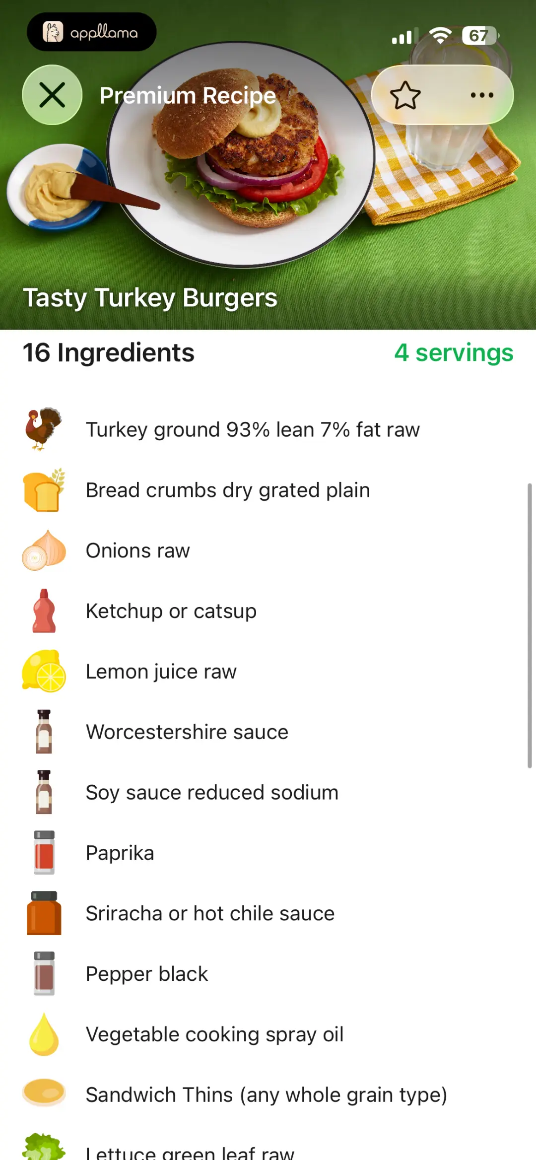 Recipe Ingredients
