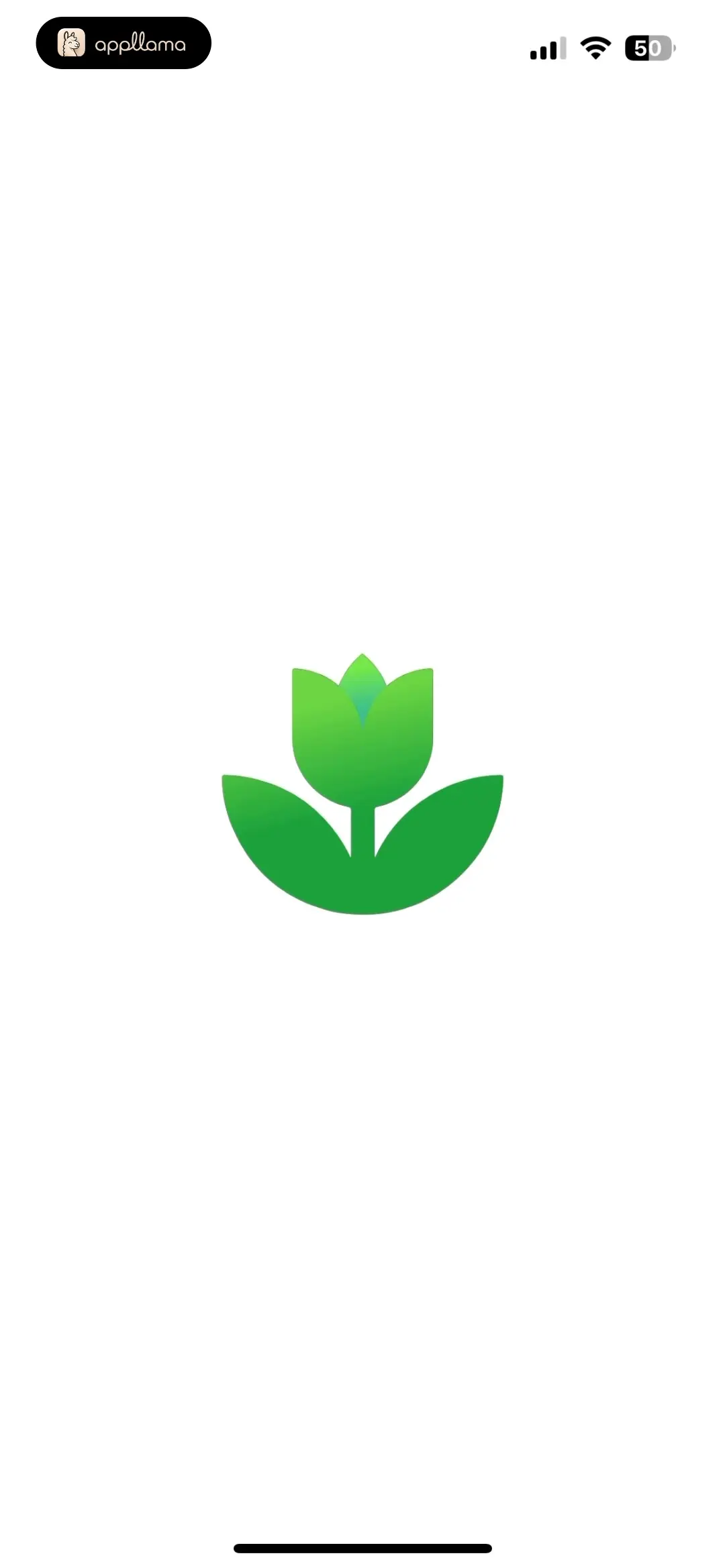 Logo Splash
