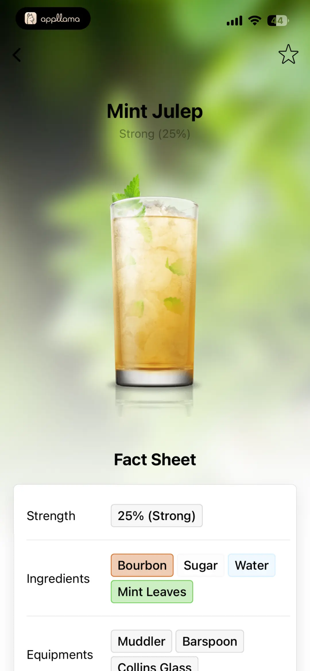 Mint Julep Recipe