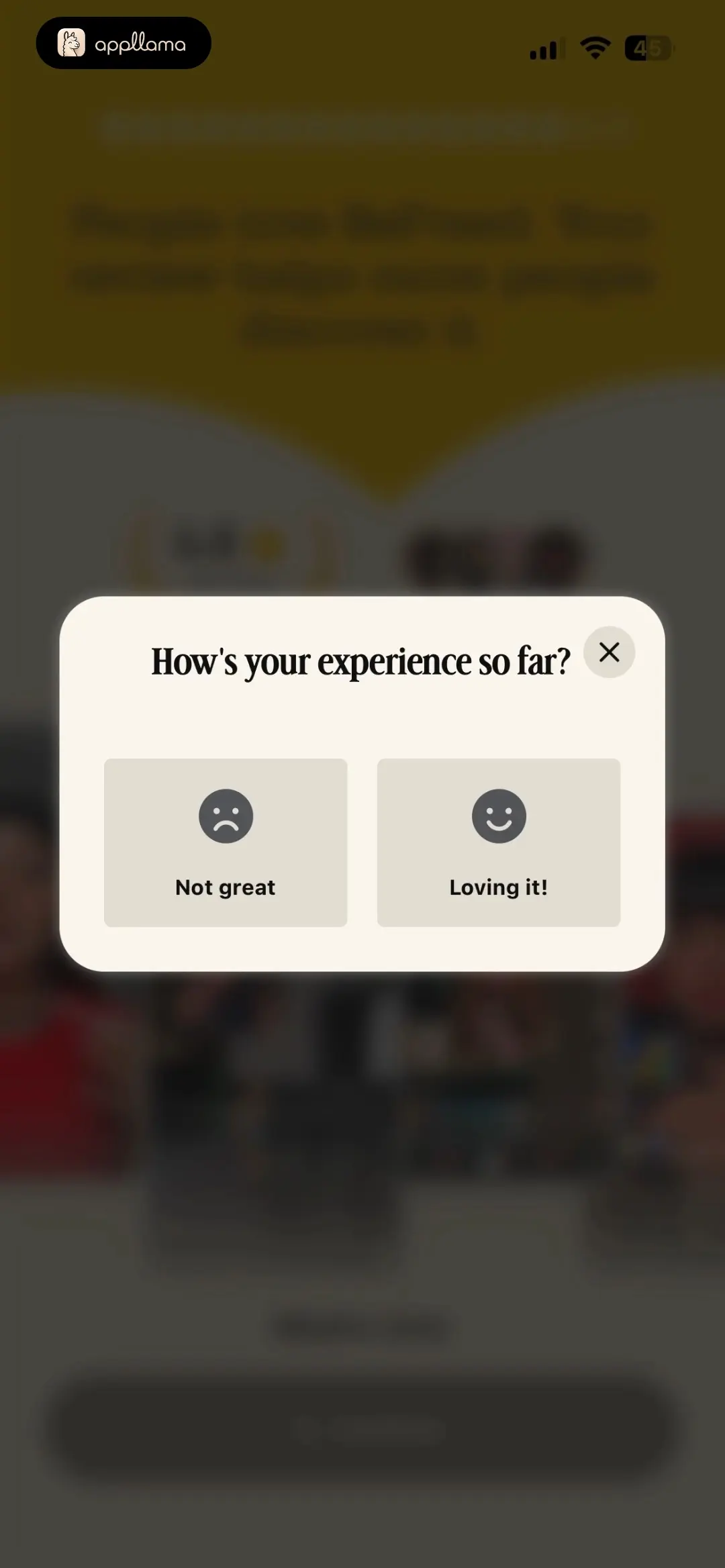 Experience Feedback