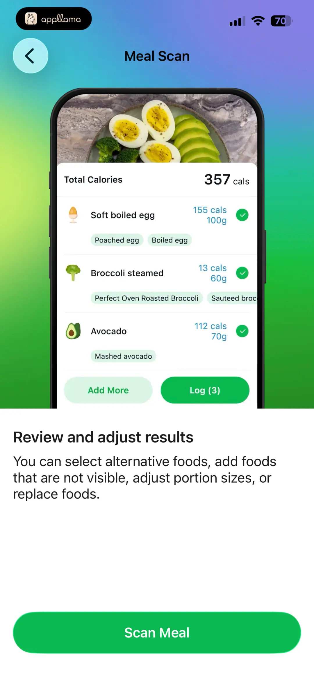 Food Scan Setup