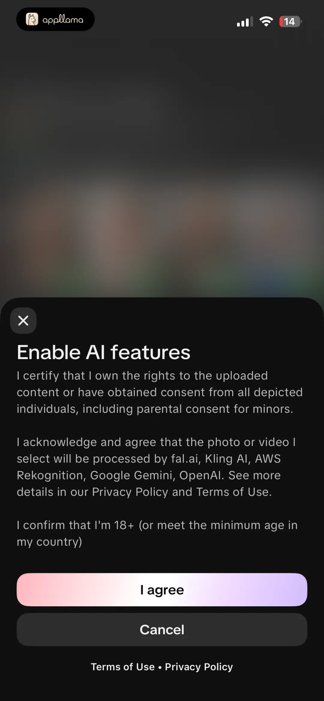 AI Features Consent