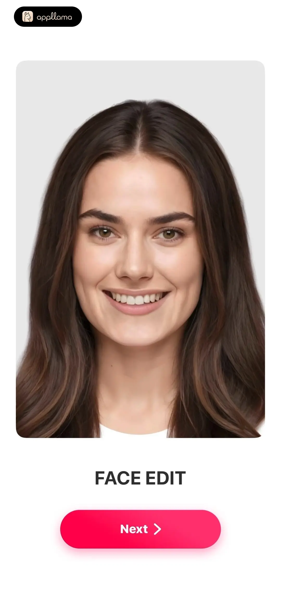 Face Edit Intro