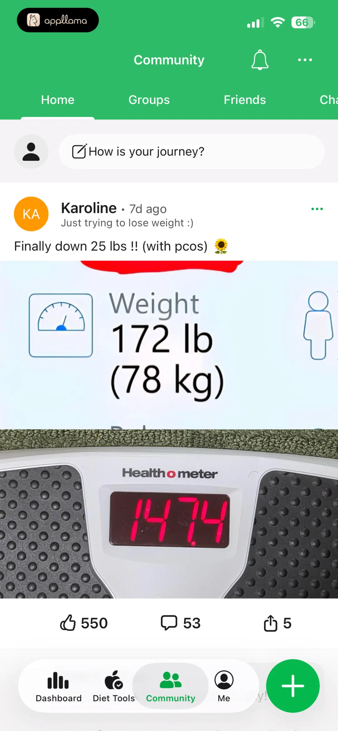 Weight Feed Post