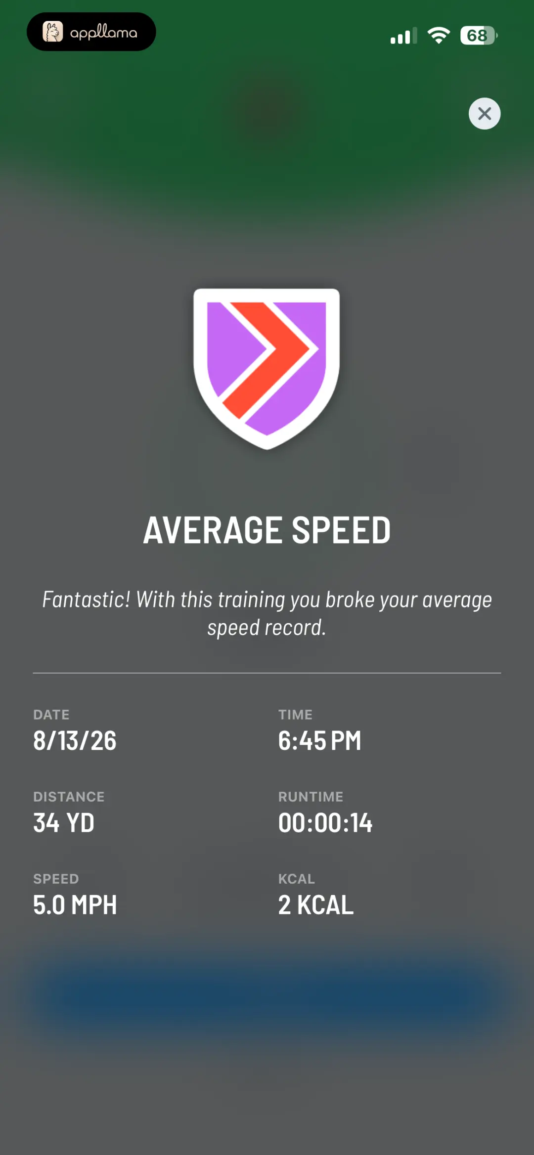 Average Speed Medal