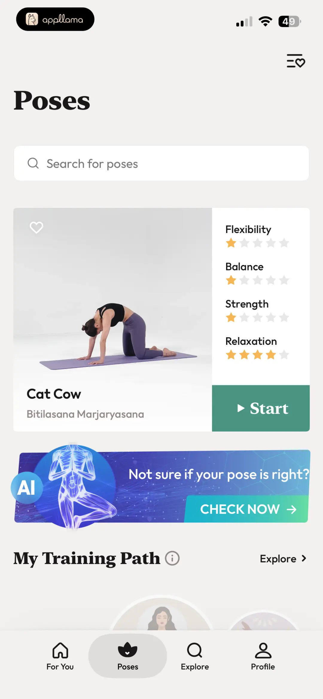 Poses Dashboard