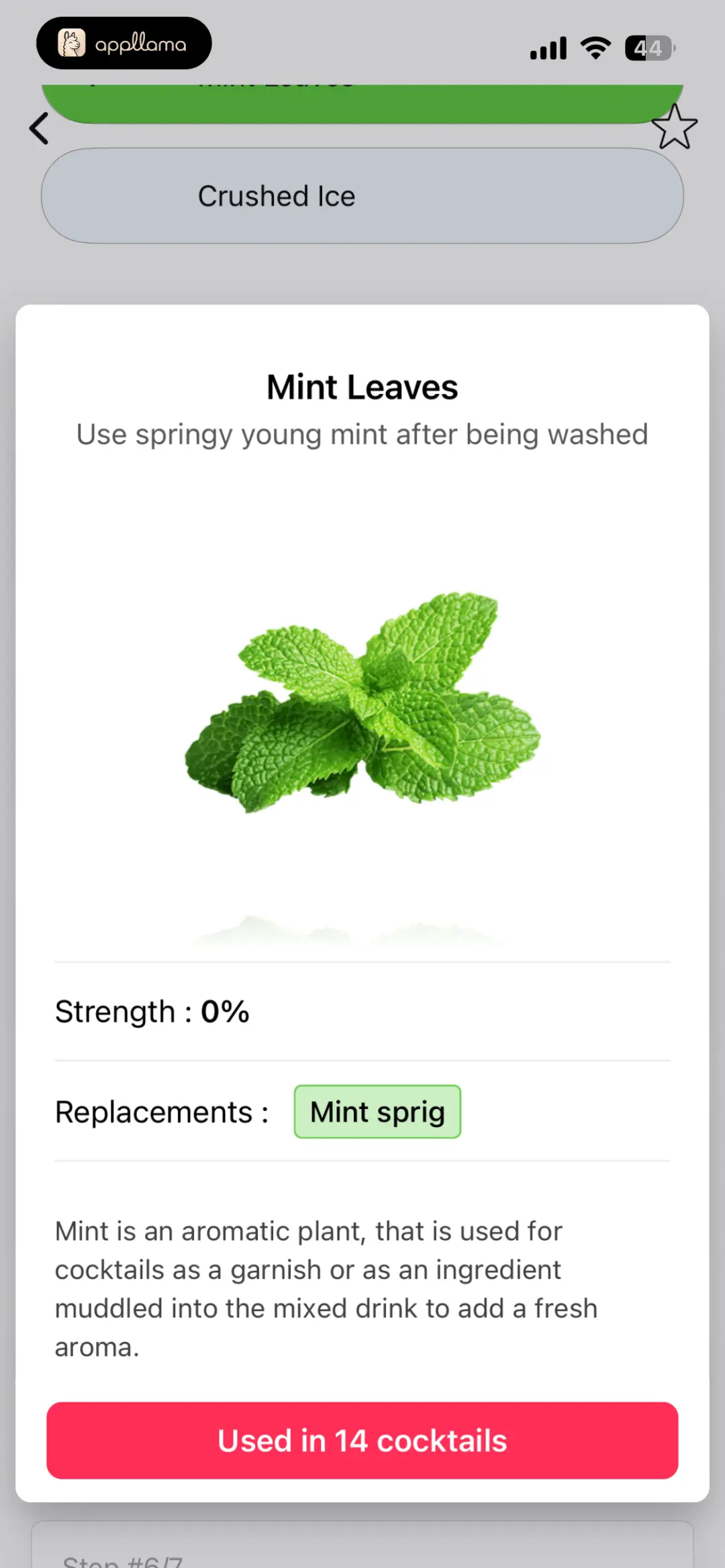 Mint Leaves Sheet