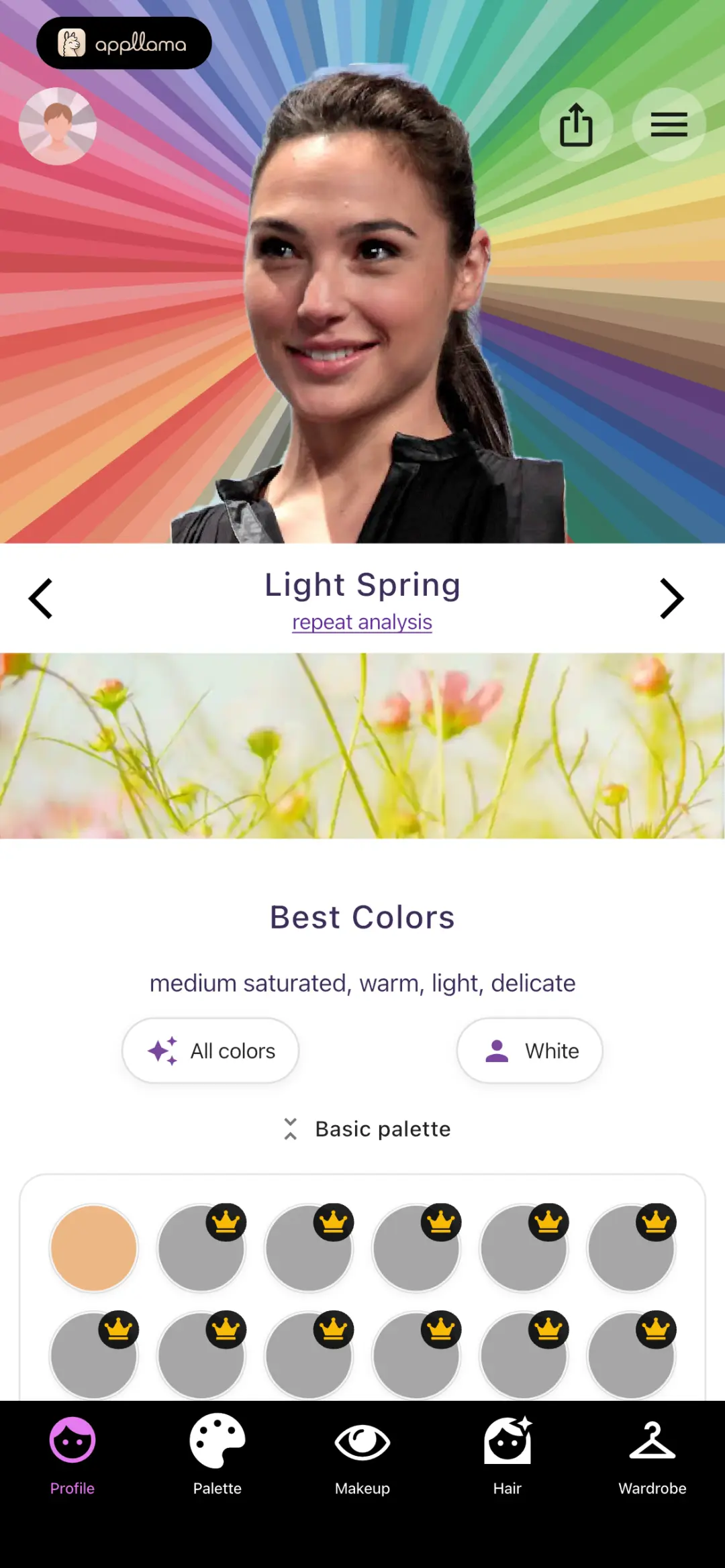 Light Spring Palette