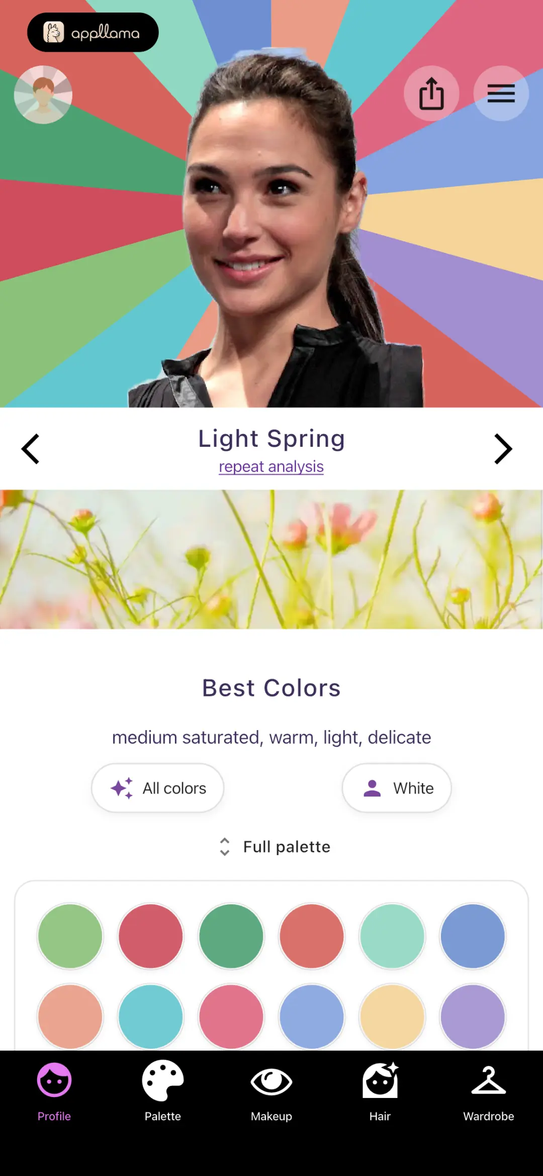 Light Spring Full Palette