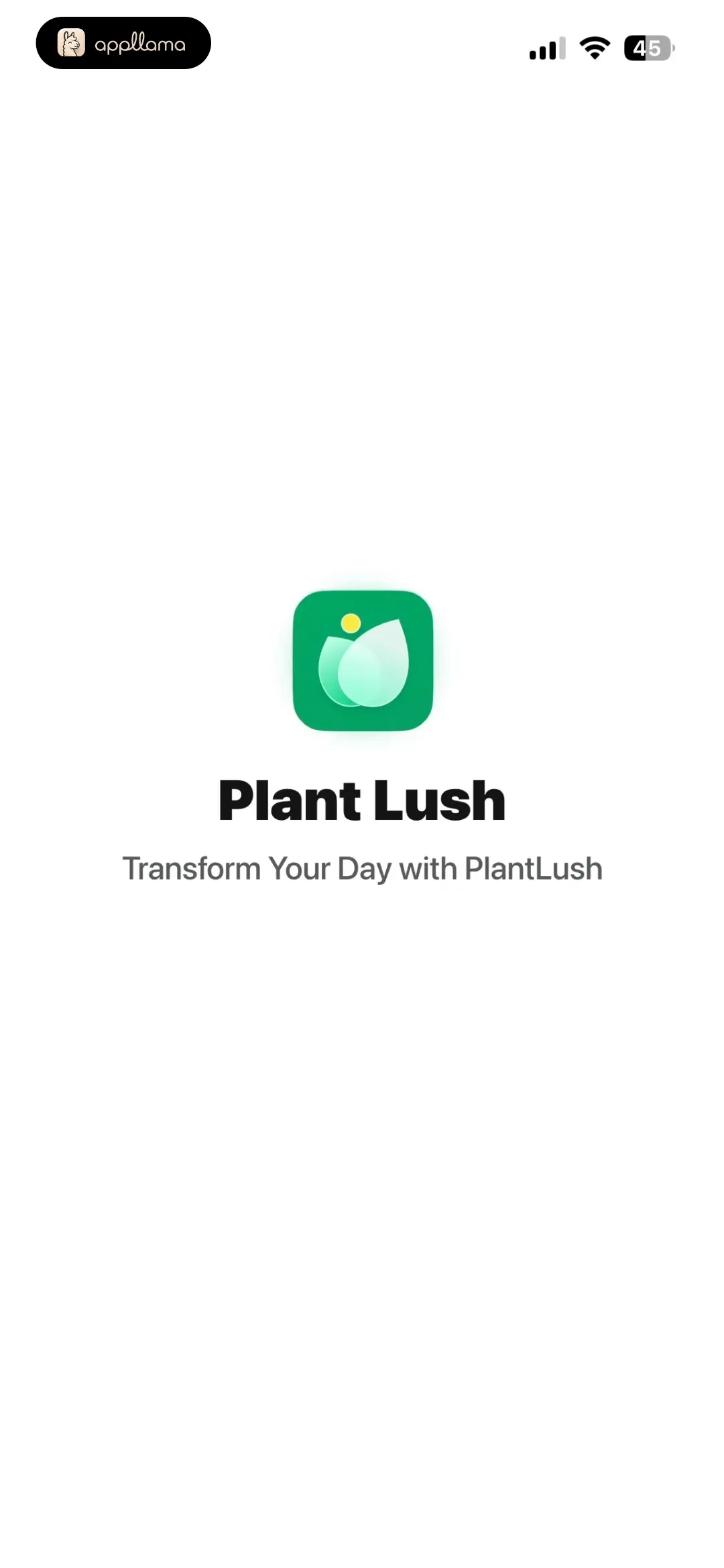 Splash Screen