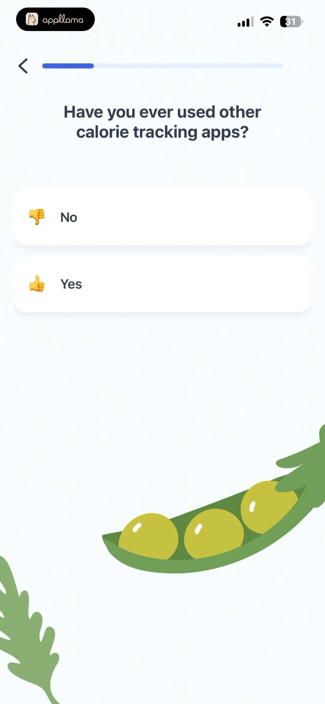 App Experience