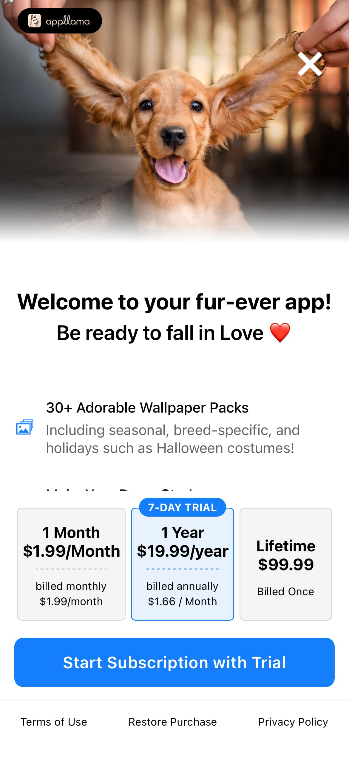 Subscription Offer