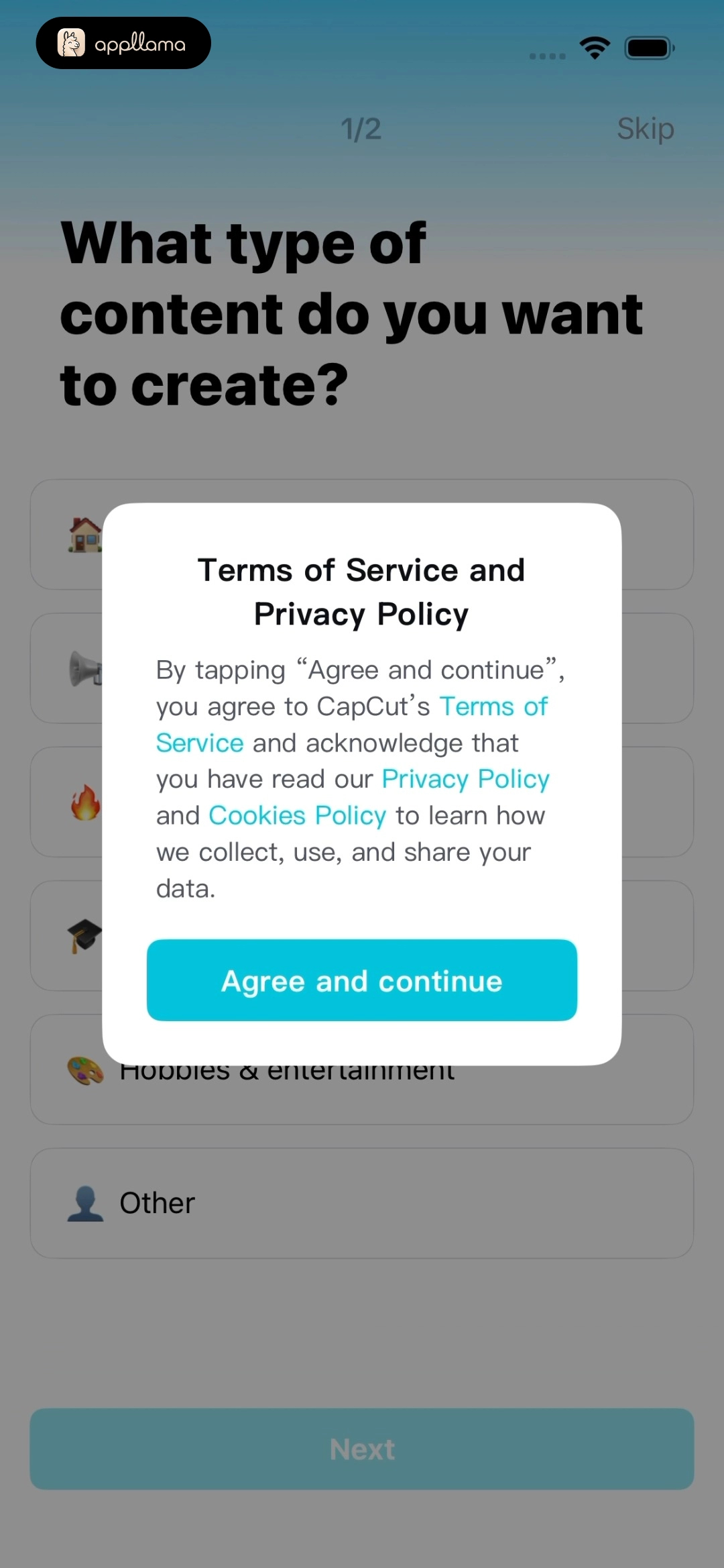 Terms and Privacy Consent