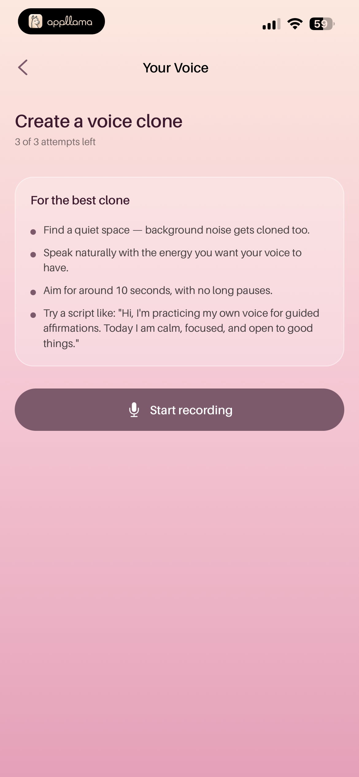 Voice Clone Instructions