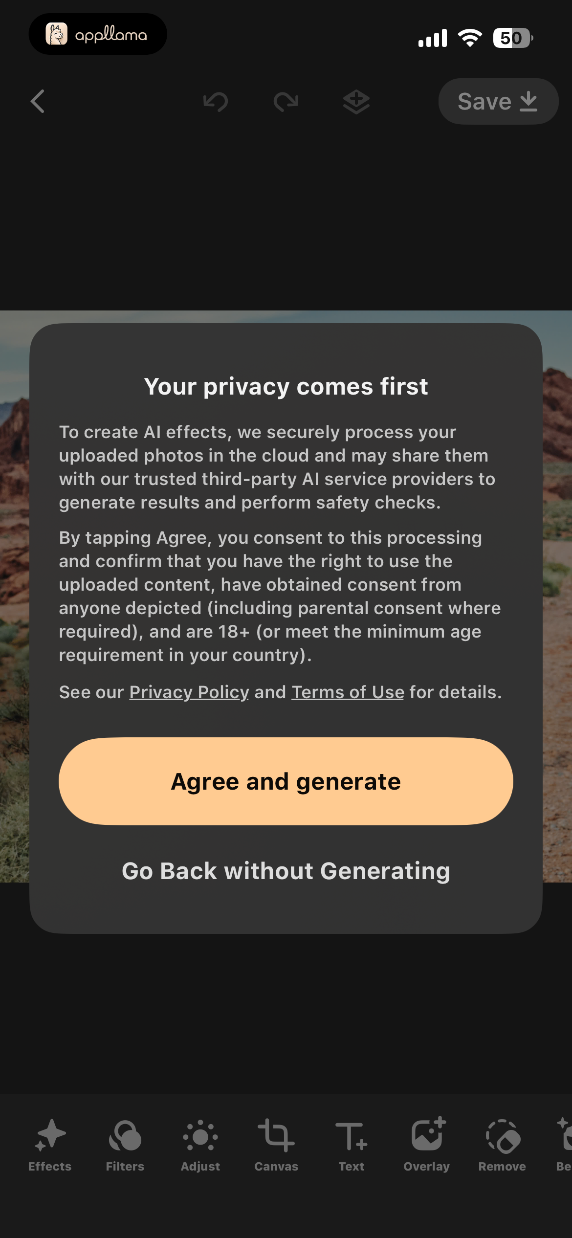 Editor Privacy Consent