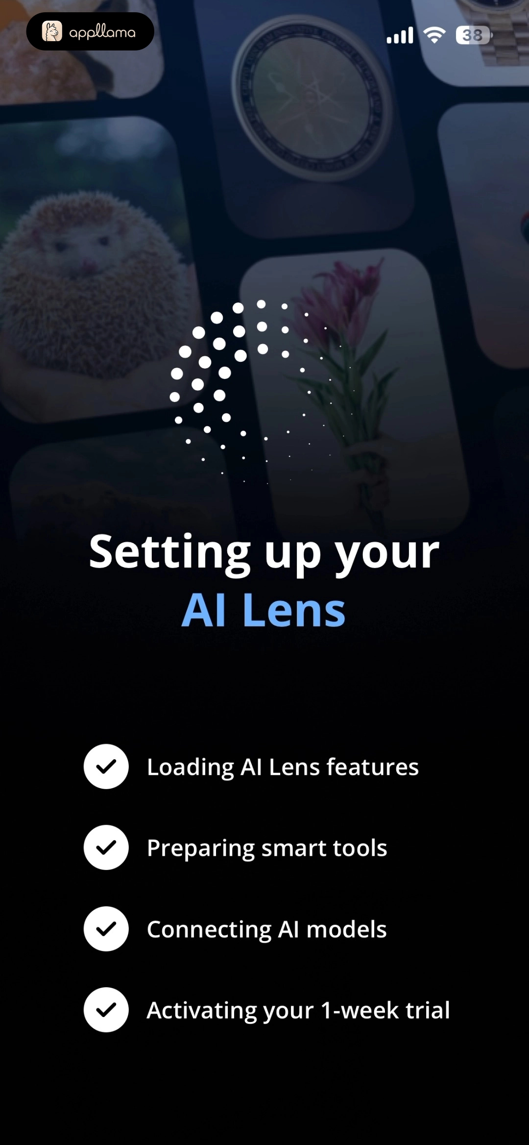 AI Lens Setup Progress