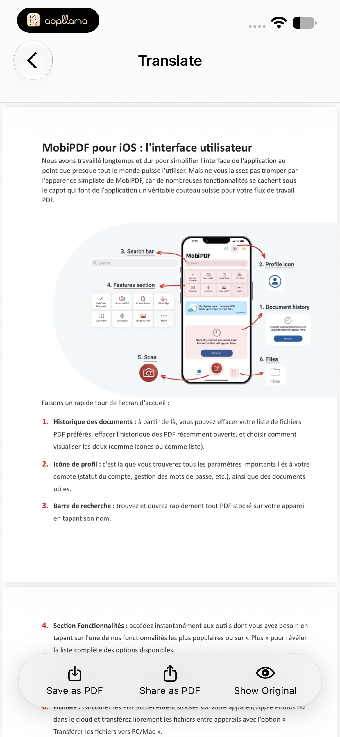 PDF Translation Result