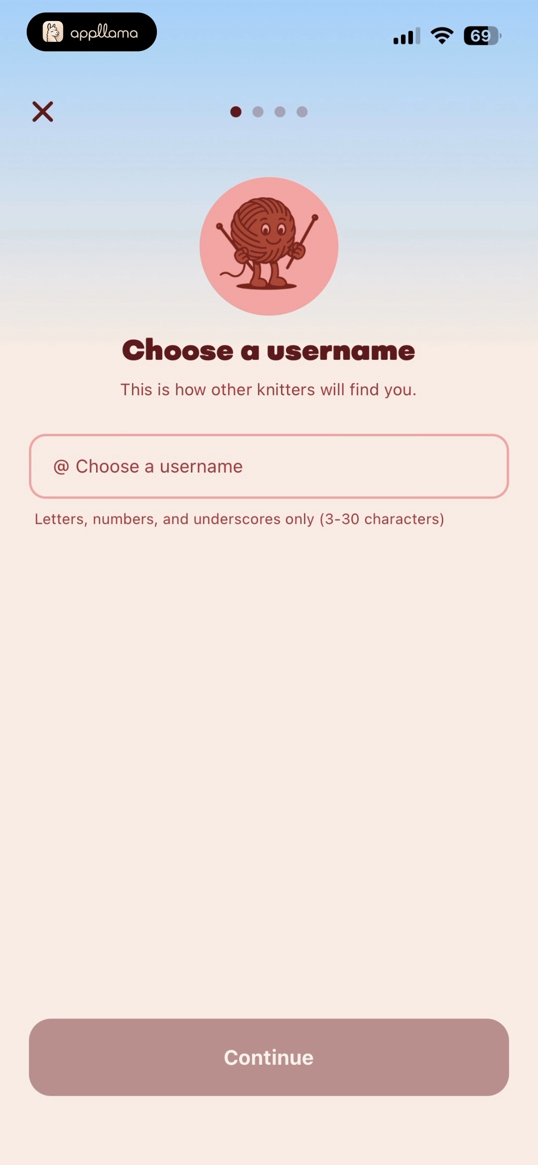 Username Entry Error