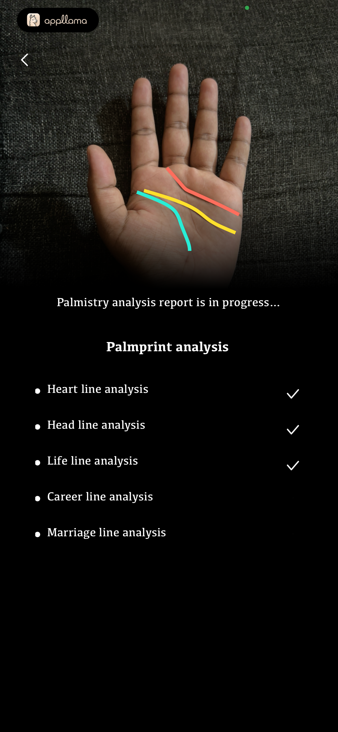 Palm Analysis Complete