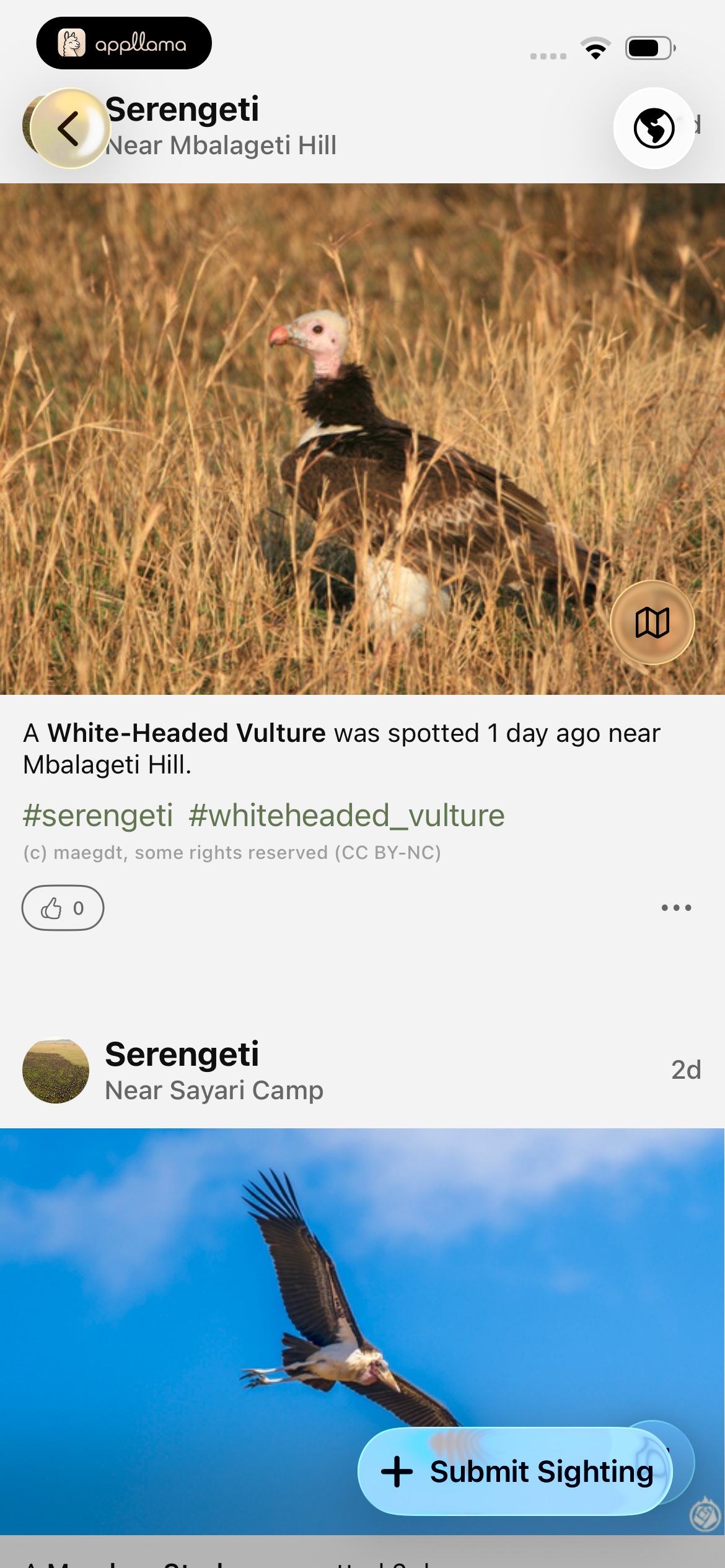 Sightings Feed