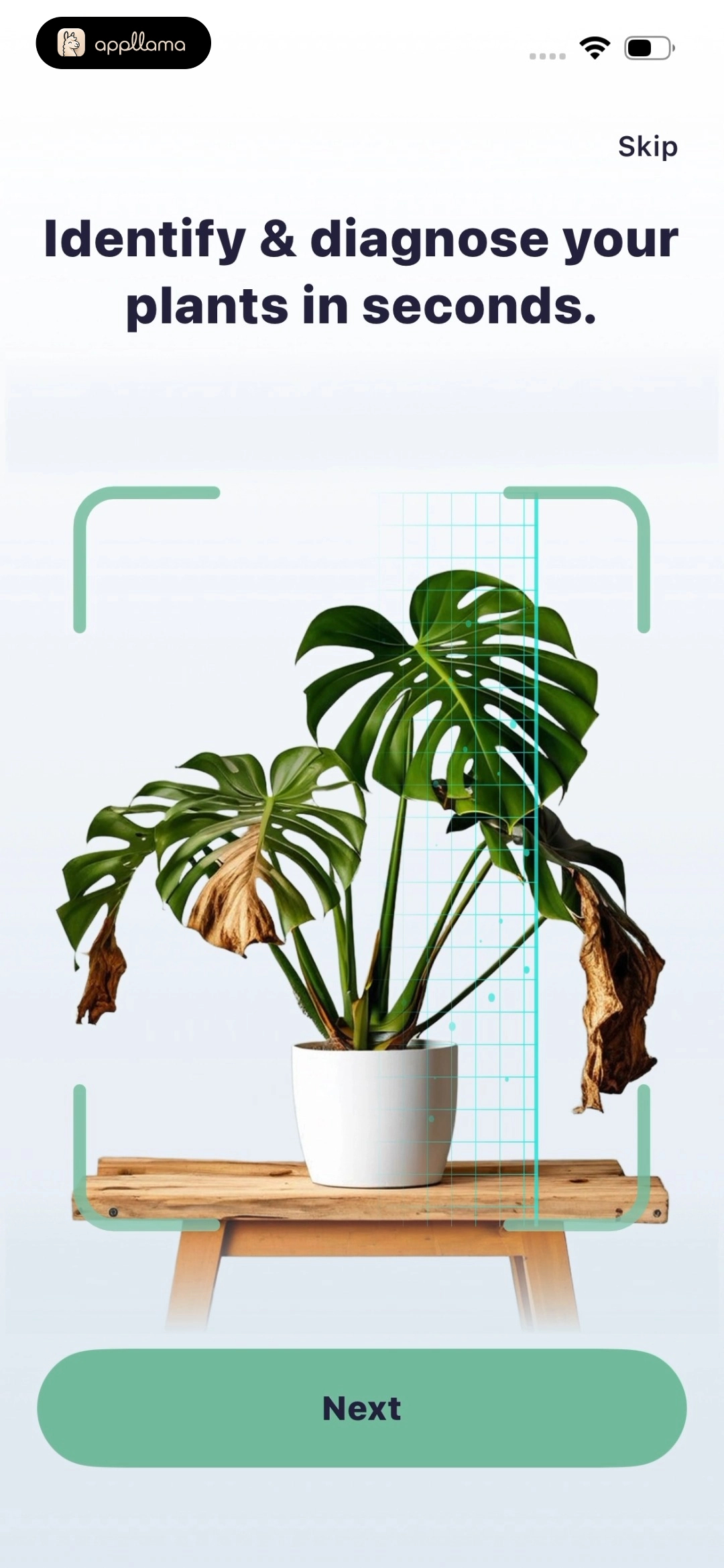 Plant Scanning Demo