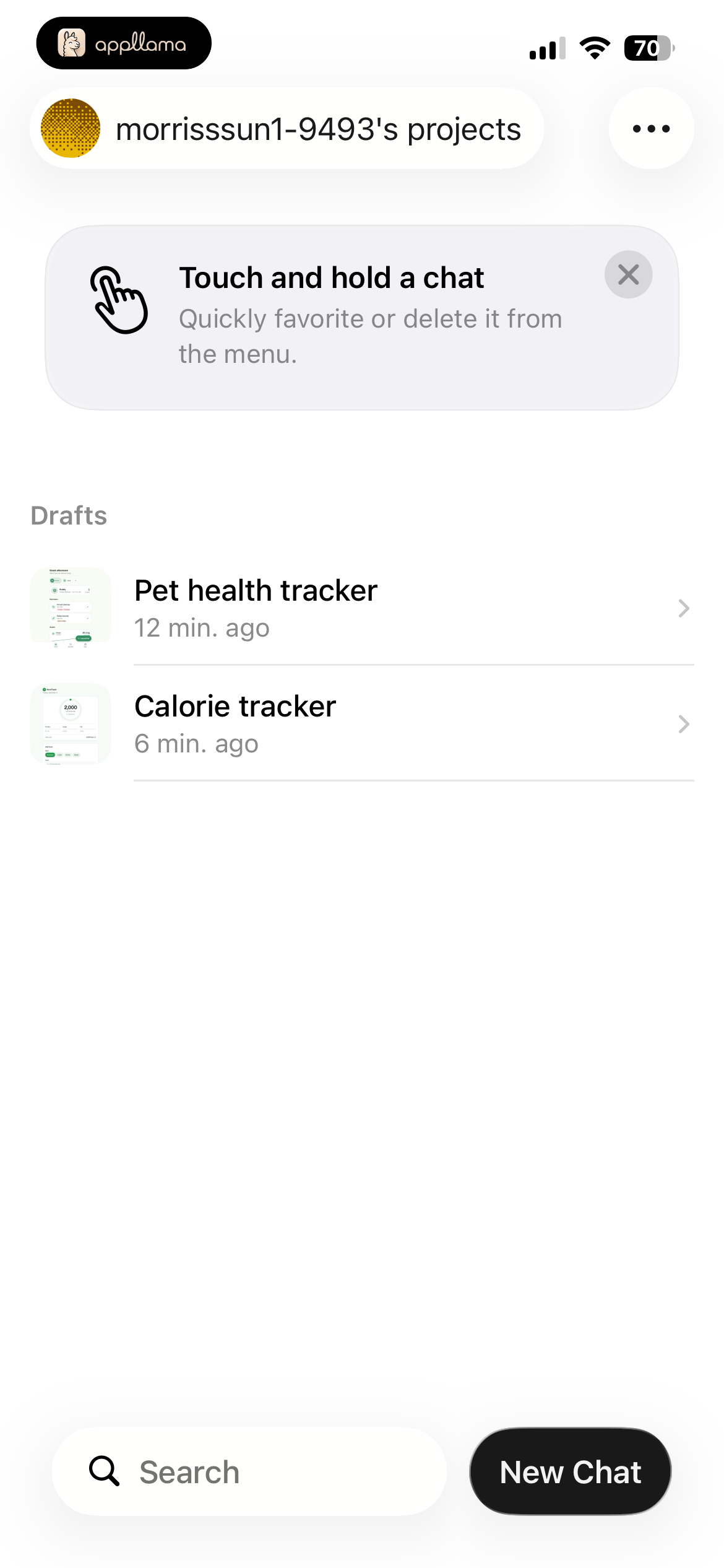 Chat History