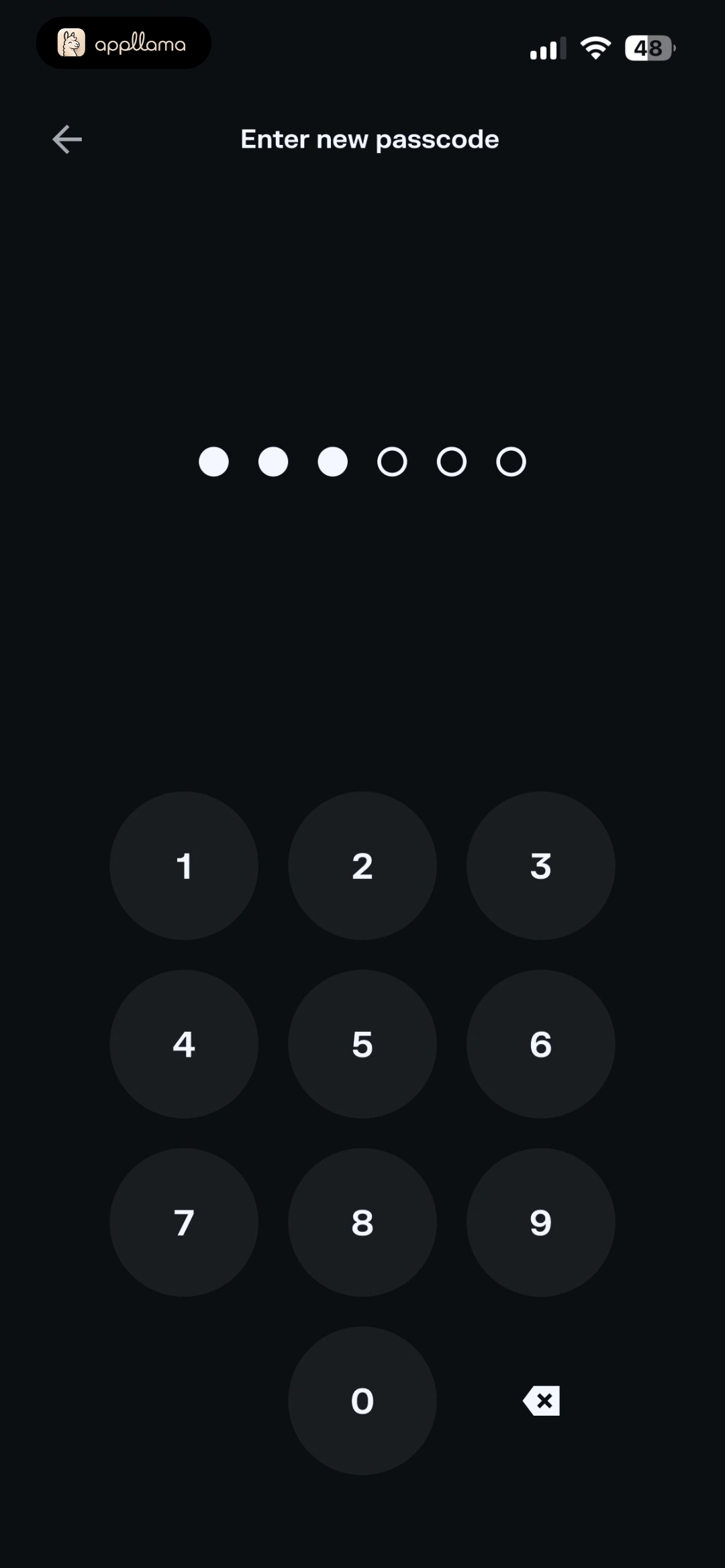 Create Wallet Passcode